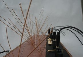 the expanded luminist