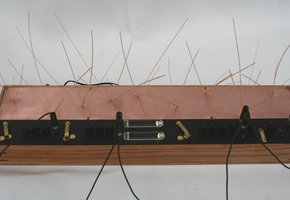 the expanded luminist