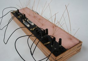 the expanded luminist