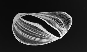 sine vactrol and cv modulation