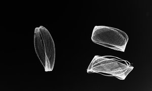 touch pads, inputs/outputs