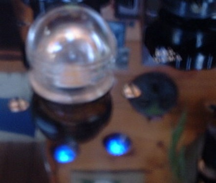 Photo of Optical Insect