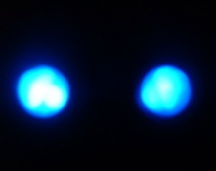 Photo of Optical Insect