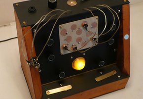 Magnetic Insectarium