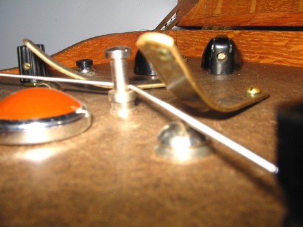 Photo of Walking Stick