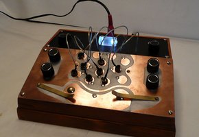 Bugs and Insects = overview